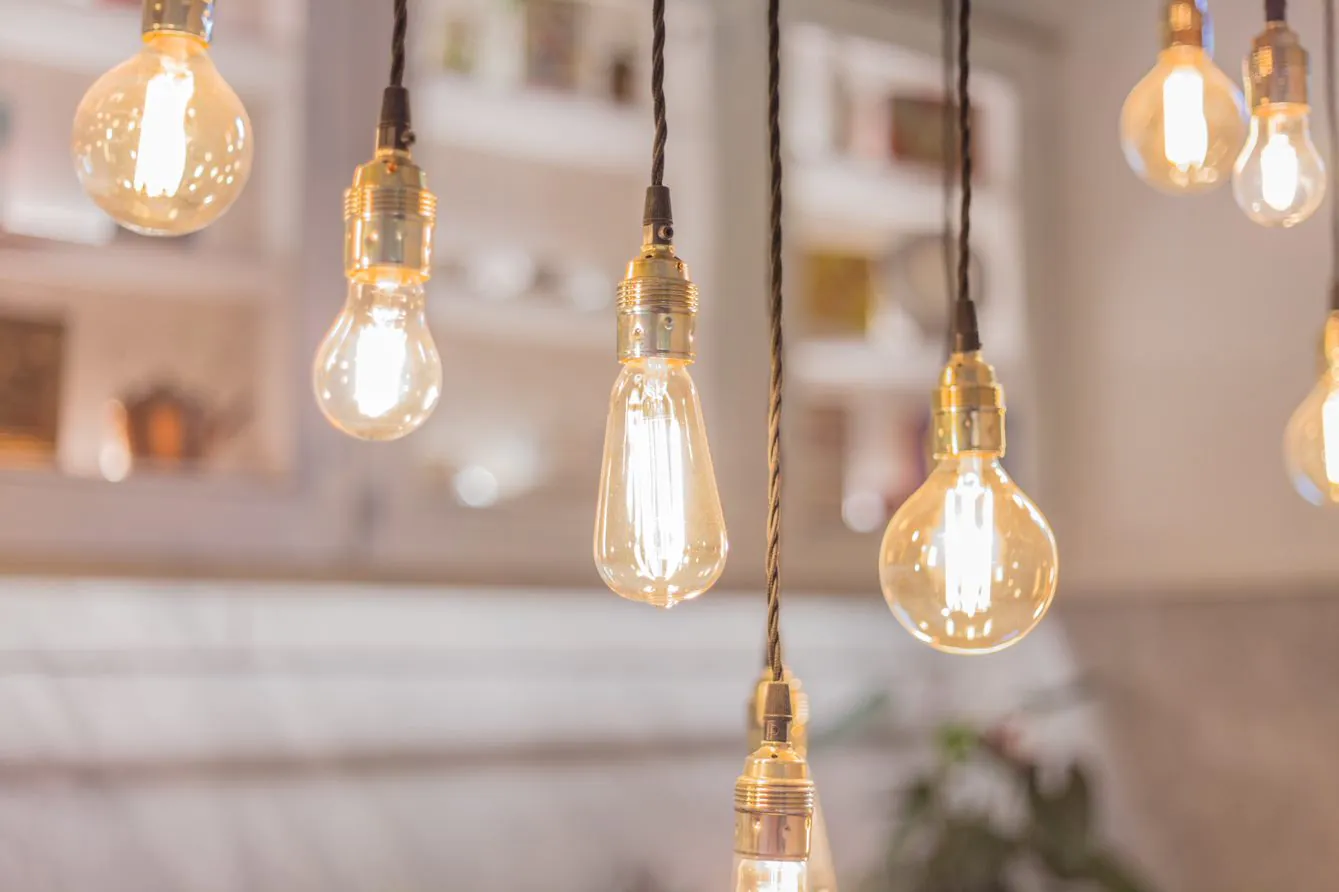 Plants are illuminated